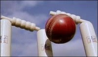 Cricket Ball ad Bails