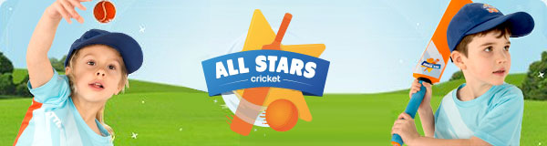 🏏 Attention!  All Stars Cricket is back! post thumbnail image